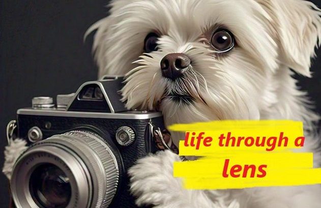 Life Through a Lens