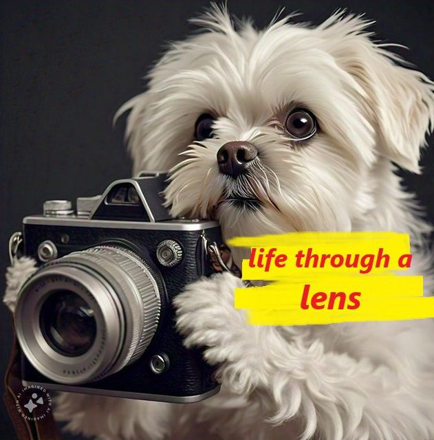 Lens