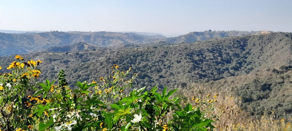 The hills of KZN