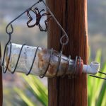 The bird water