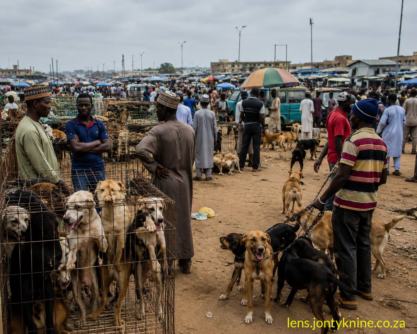Nigeria's famous Dog Market is one of Africa's most unique markets.
