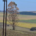 Eston KZN