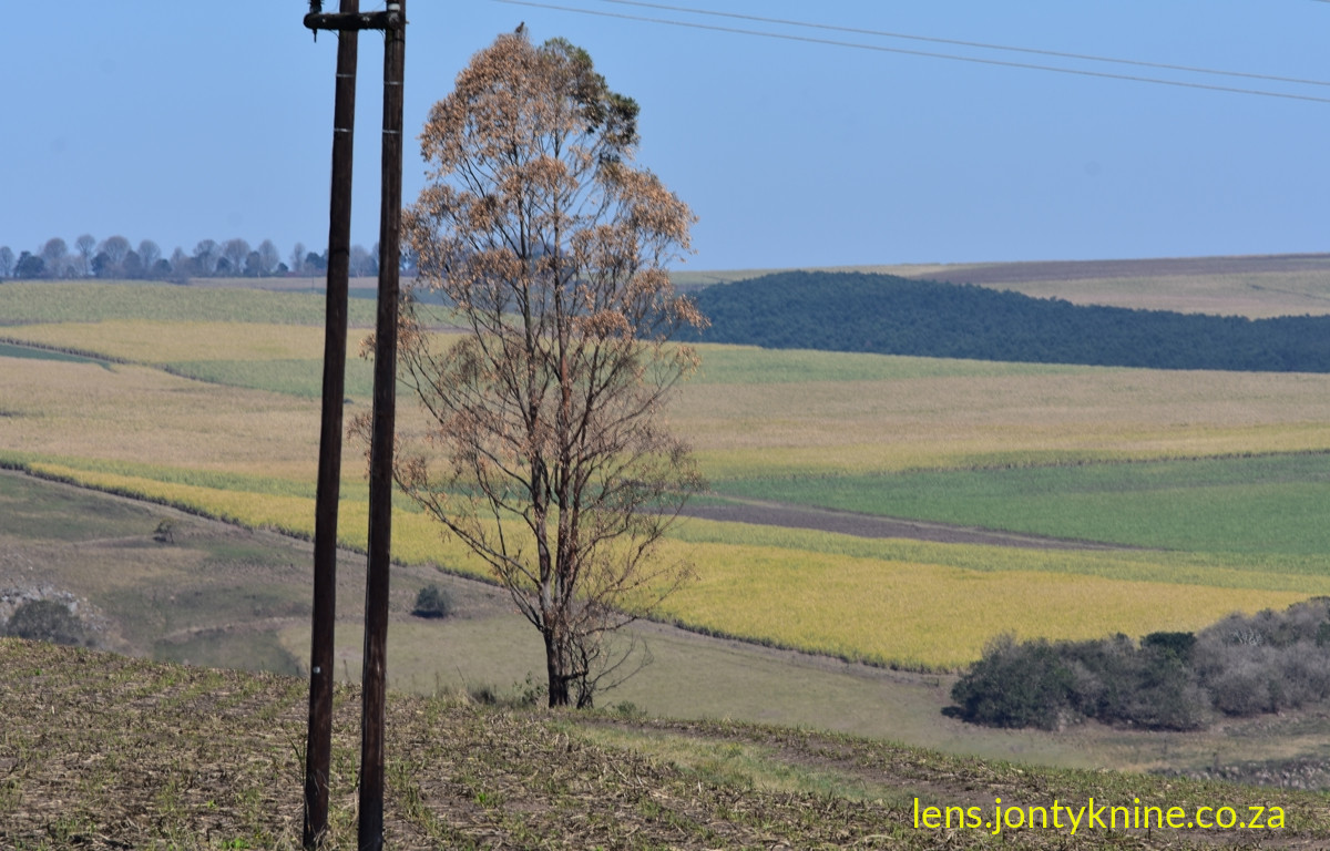 Eston KZN