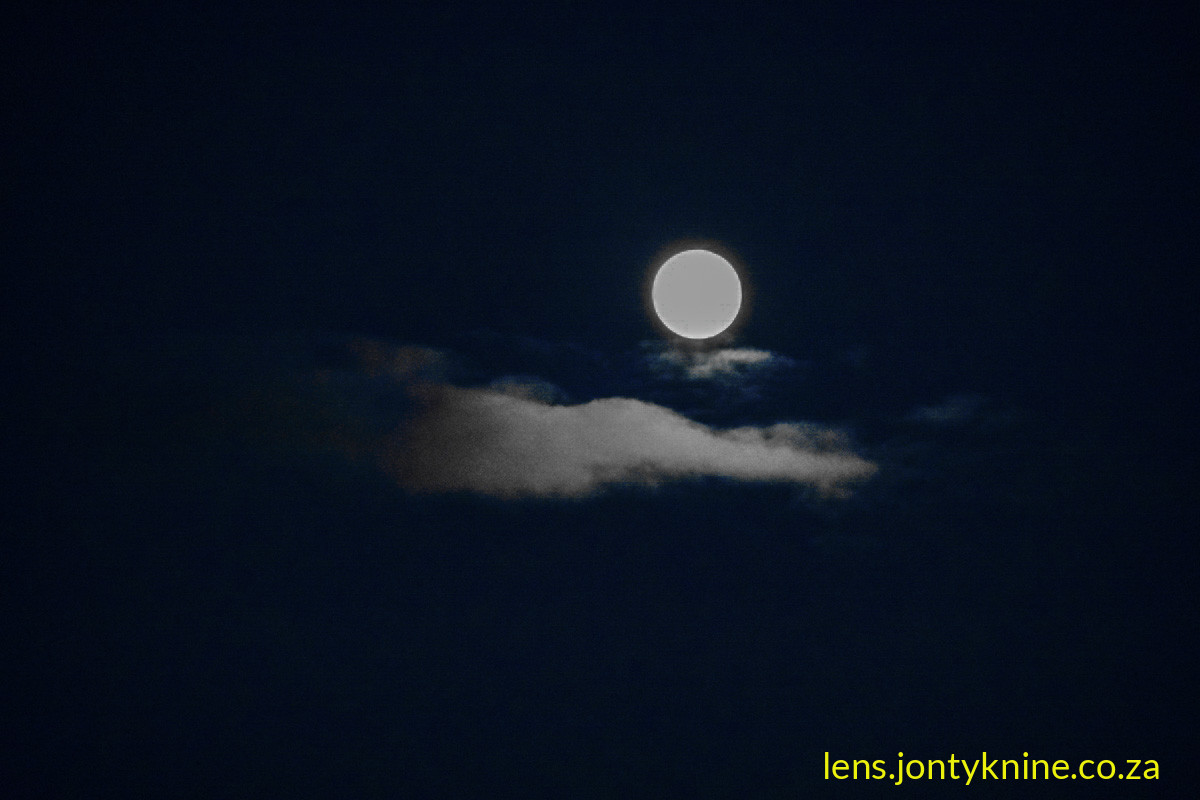 Blue moon