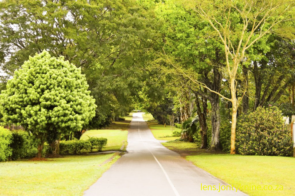 Endurance creates a lonely road