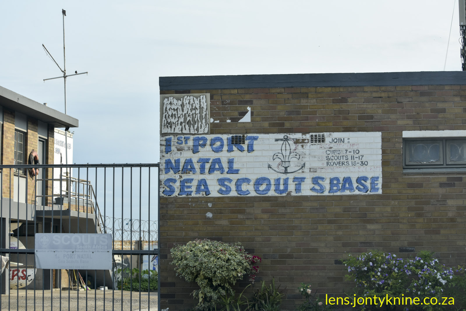 Sea scouts